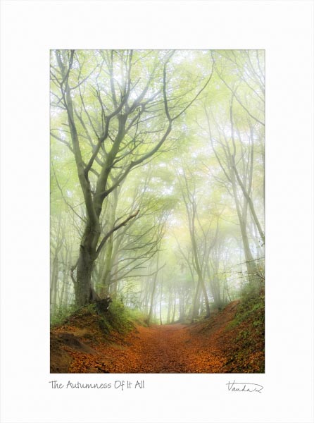 The Autumness Of It All