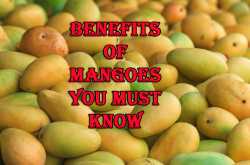 The Benefits of Mango
