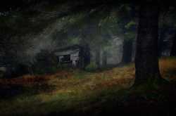 The Dank Corner ~ Indisposed Pieces