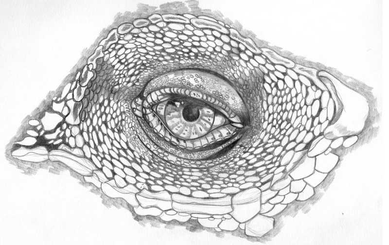 The Girl I Last Kissed...