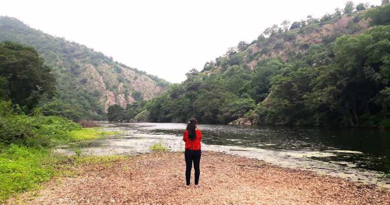 The Green Gateway Of Gujarat