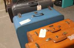 The Hippocampus Detox Airline