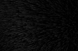 The Indian Stand-up Comedy Scene and Bollywood » Prabhat Rayal