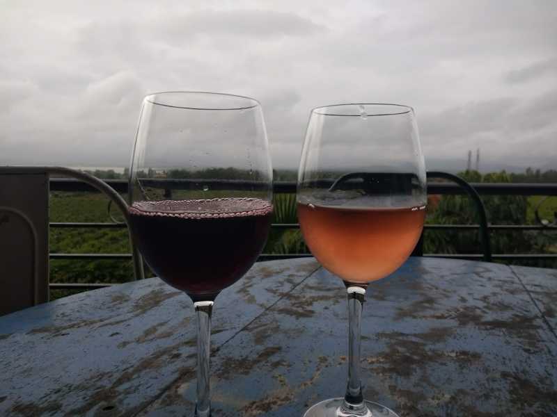 The Indian Vineyard That Left An Impression