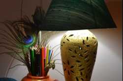 The Lamps I Made - Preethi Prabhu