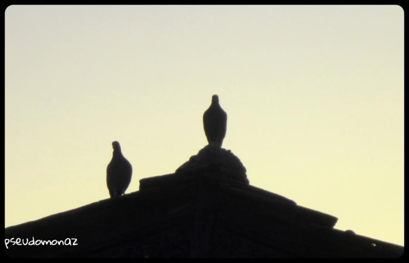 The Missed Appointment