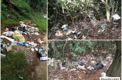 The Nilgiris you wouldn\