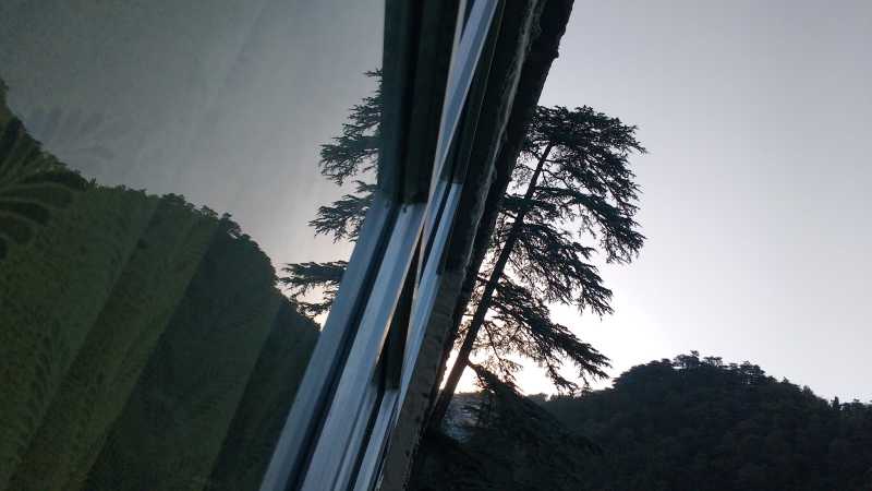 The Rupin Pass Himalayas Trek May-June 2017: The Kalka-Shimla Toy Train, Deadly Chicken, Etc (Day #12) 