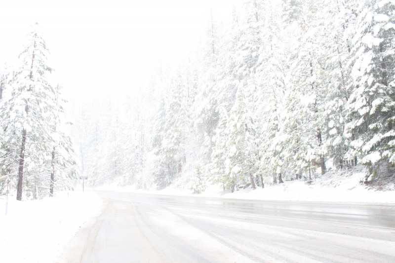 The Snow- A December To Remember