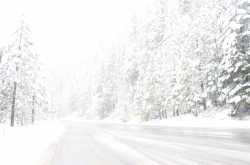 The Snow- A December to Remember