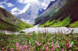 The Valley of Flowers trek - The Travel Shrink