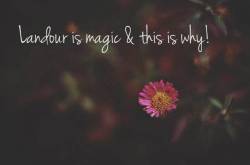 The best things to do in Landour, Delhi\