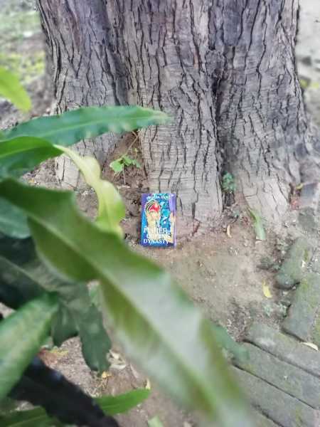 The Fisher Queen’s Dynasty - Book Review