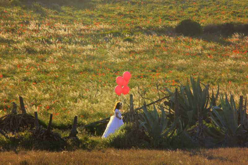 The Gorgeous And Offbeat Cabo De Gata National Park In Spain