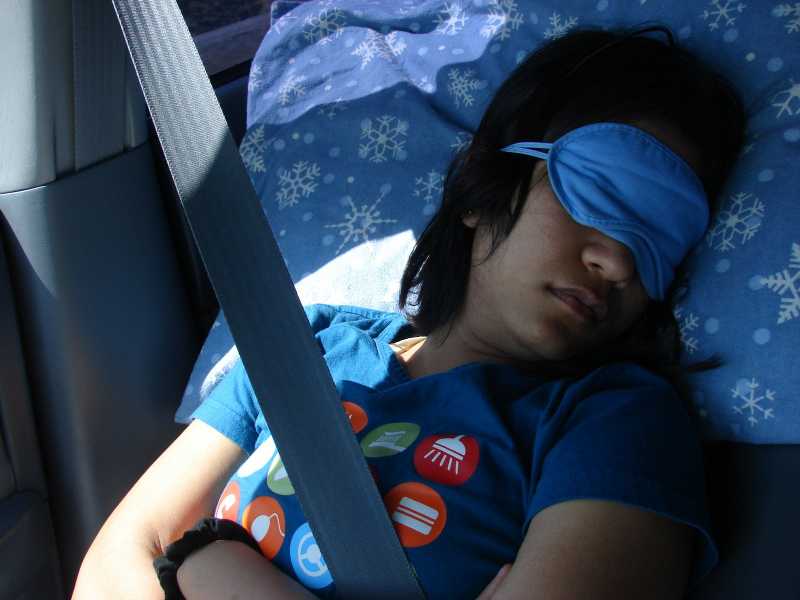 The Road Trip To Yellowstone - Part 1