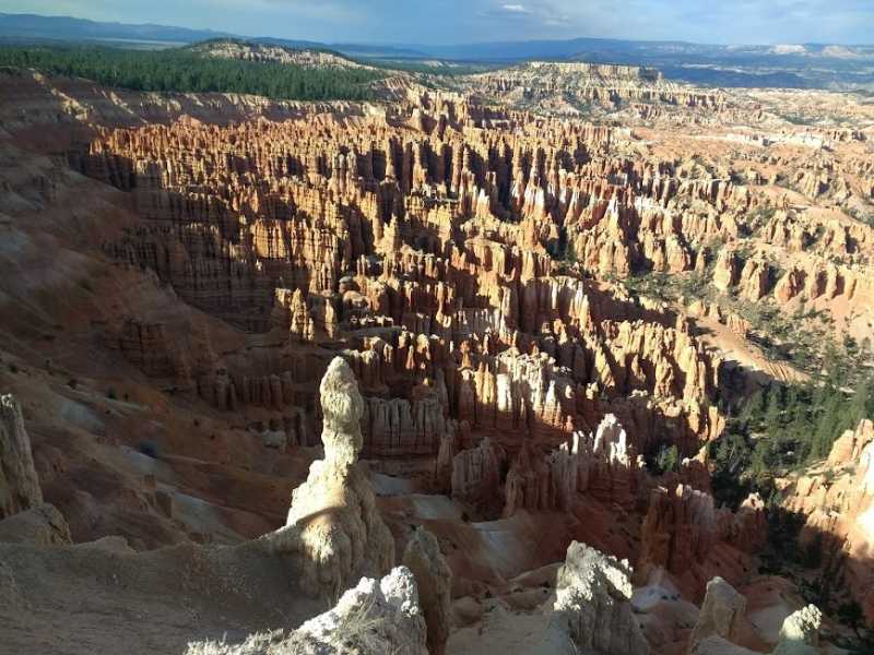 The Sight To Remember : Wordless Wednesday