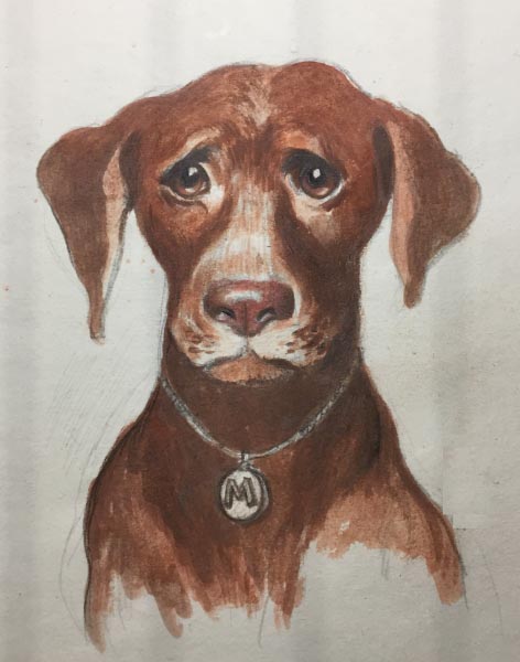 The Spark That Lit A Fire Within