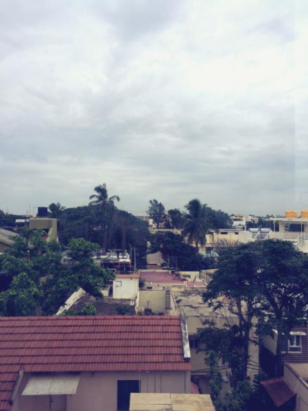 The Strawberry Head Â© - Jumpcuts, May Filter - Saturated Early Rains, A...