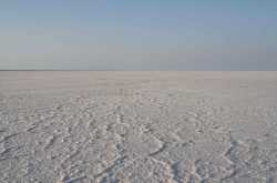 The white wilderness of the Rann