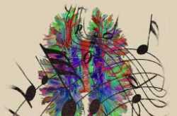 Themes and Variations Book Review - Non Fiction Book Reviews