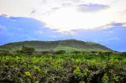 Then I glanced at upon that hill