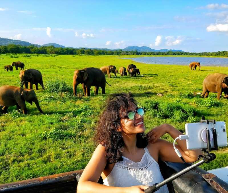 Things To Do In Sri Lanka - Minneriya National Park