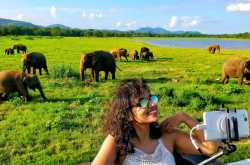 Things To Do in Sri Lanka - Minneriya National Park