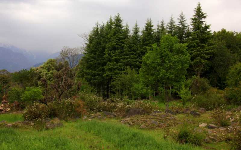 Things We Did For A Relaxing Kalimpong Experience