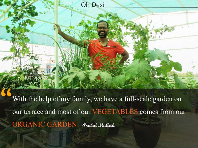 This IITian Grows His Own Food Through Organic Terrace Garden Farming.
