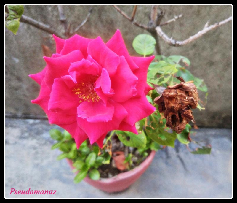 This Is Not The End…