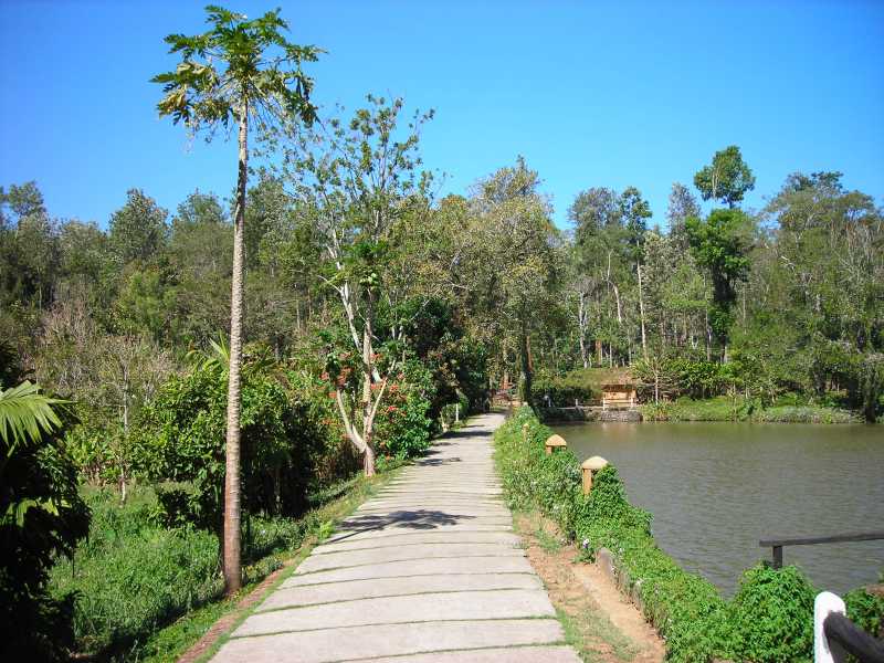 Thoughts, Emotions, Feelings, Desires & Cravings…Mind In Motion - Makeup & Breakup