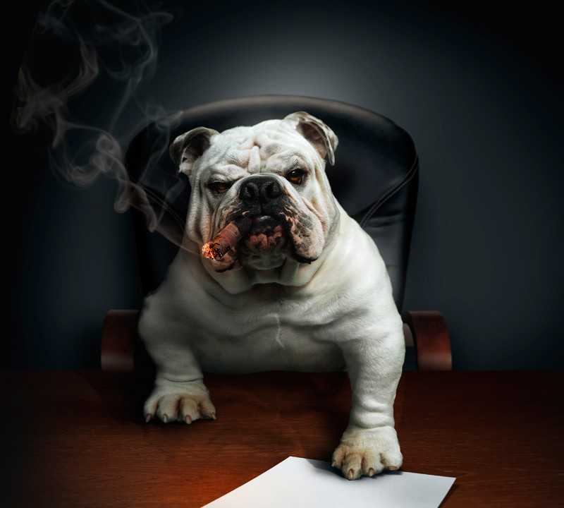 Three Ways To Be The Boss Of Your Social Media