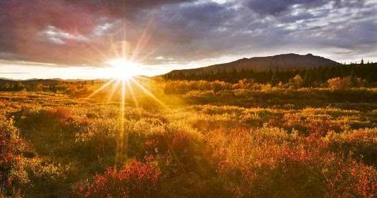 To The Hungry Hearts....