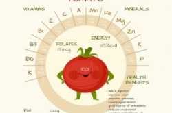 Tomato- Fruit or Vegetable