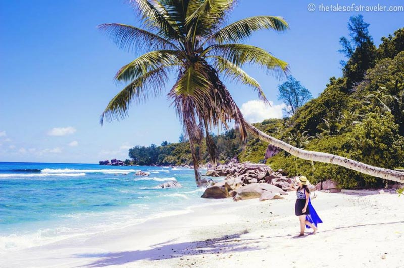 Top 12 Experiences That You Must Not Miss In Seychelles