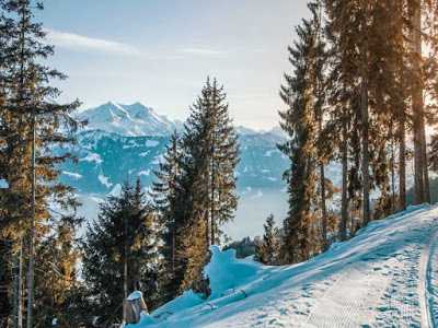 Top Ski Destinations