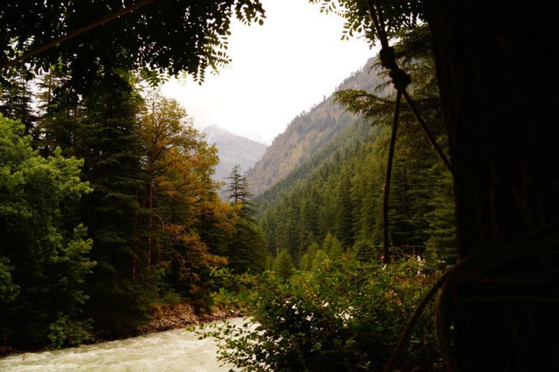 Travel Diaries: Kasol (Himachal Pradesh, India)