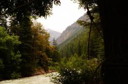 Travel Diaries: Kasol (Himachal Pradesh, India)