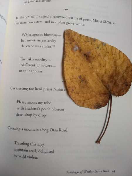 Travel Diaries: Narrow Road To The Interior And Other Writings