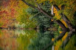 Trees do it for air outside, what does it for air inside??