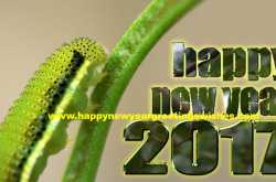 Trending Happy New Year 2017 SMS