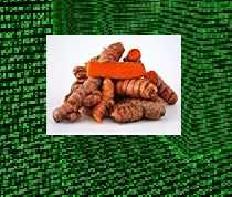 Turmeric, Teradata And Dining Table