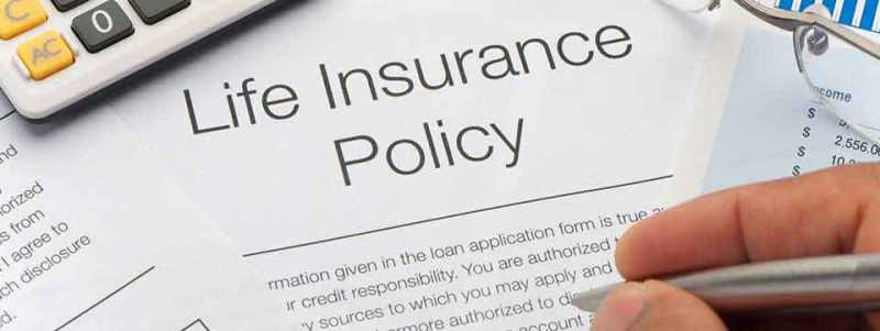 Types Of Life Insurance Policies In India