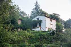 Uttarakhand Solo Journal 2: Communities and Connections - Nistha\