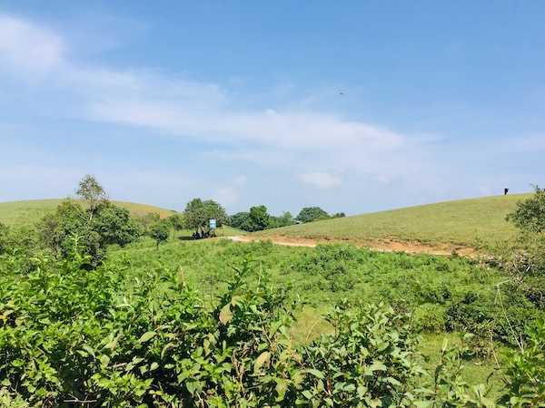 Vagamon - The Hidden Gem Of Kerala Tourism - Paradise Holidays, Cochin