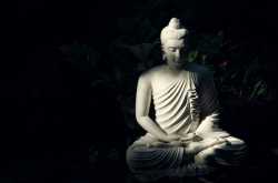 Vipassana - A Meditative Transformation