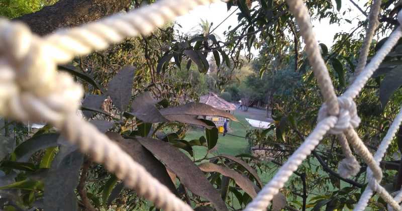 Visiting Tafreeh Park In Indore