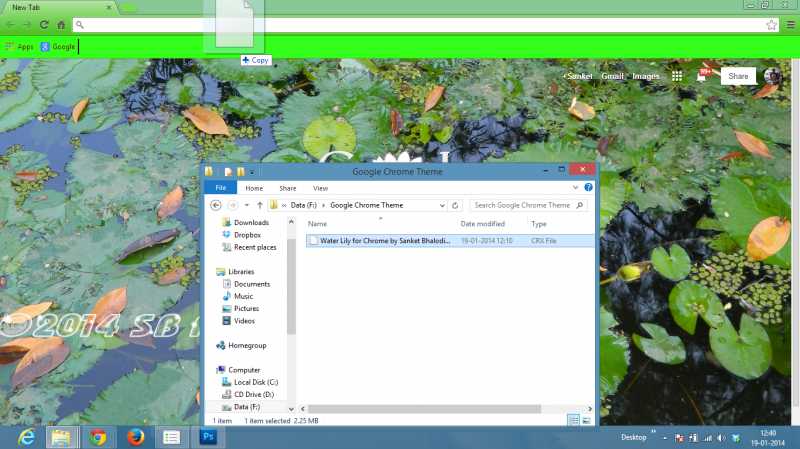 Water Lily Theme For Google Chrome