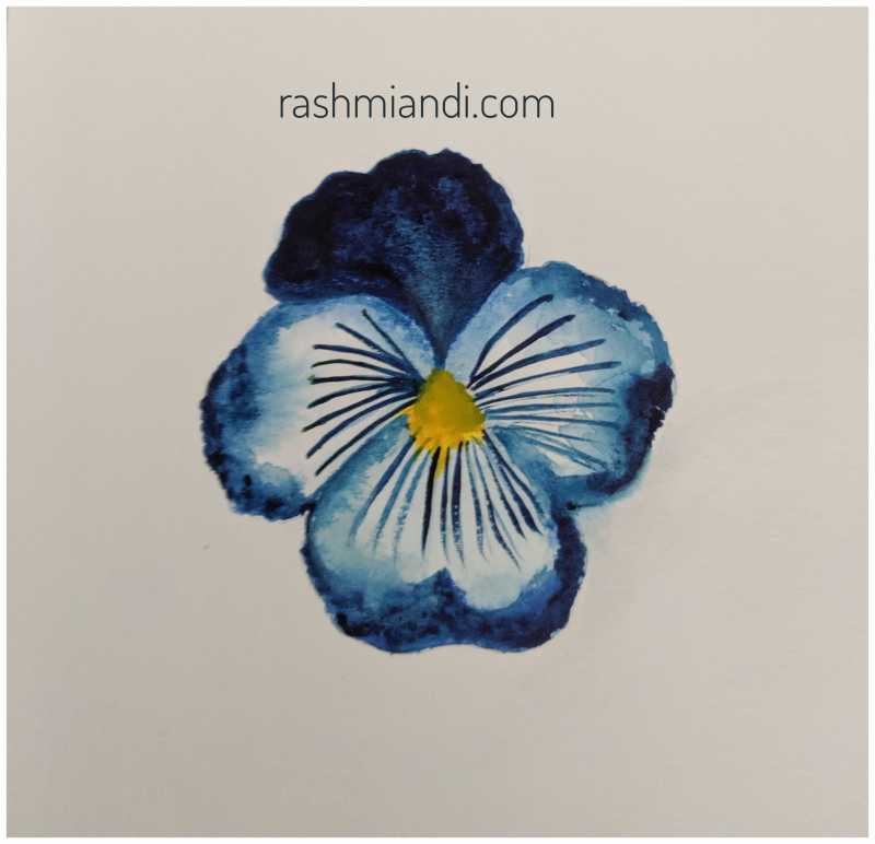 Watercolour- Blue And White Pansy | Rashmi & I