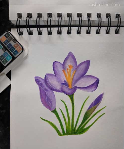 Watercolour- Crocus | Rashmi & I